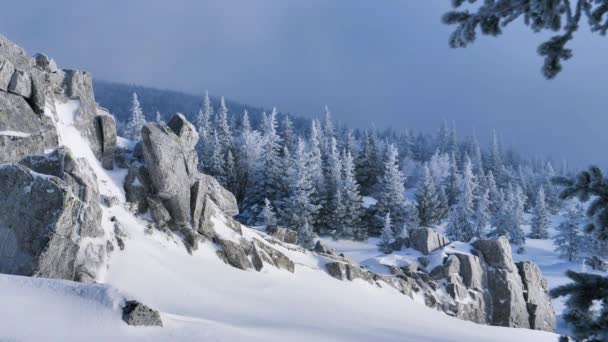 Χειμώνας Στα Βουνά Φύση Καλυμμένα Χιόνι Δέντρα Όμορφο Τοπίο — Αρχείο Βίντεο