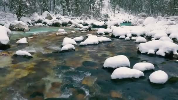 Invierno Volando Sobre Forest Creek Clima Ruidoso Naturaleza Árboles Cubiertos — Vídeos de Stock