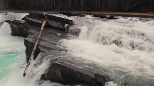 Latanie Lotnicze Nad Rzeką Rapids Lesie Głośna Pogoda Natura — Wideo stockowe