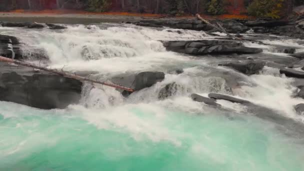 Latanie Nad Rzeką Rapids Lesie Głośna Pogoda Natura — Wideo stockowe
