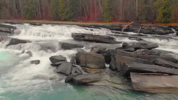 Latanie Lotnicze Nad Rzeką Rapids Lesie Natura Głośna Pogoda — Wideo stockowe