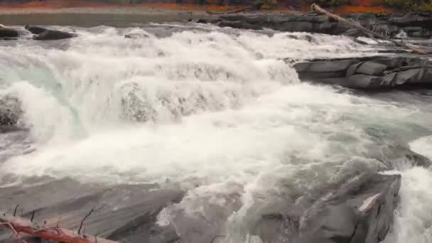 Latanie Nad Rzeką Rapids Lesie Natura Głośna Pogoda — Wideo stockowe
