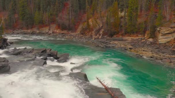 Rzeka Rapids Lesie Latanie Lotnicze Natura Głośna Pogoda — Wideo stockowe