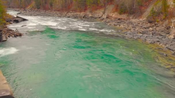 Rzeka Rapids Lesie Natura Latanie Lotnicze Głośna Pogoda — Wideo stockowe