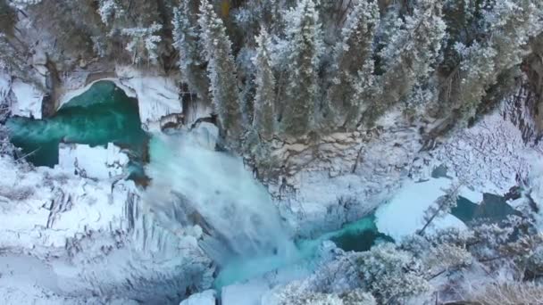 Vinter Flying Icy Waterfall Natur Højt Vejr Sneklædte Træer – Stock-video