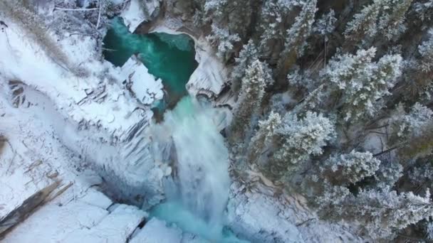 Winter Fliegt Über Eisigen Wasserfall Schneebedeckte Bäume Natur Lautes Wetter — Stockvideo
