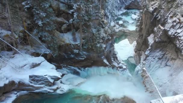 Naturaleza Árboles Cubiertos Nieve Invierno Volando Sobre Cascada Helada Clima — Vídeo de stock