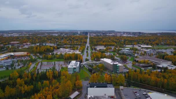 アンカレッジ アラスカ 空中ビュー 素晴らしい風景 ダウンタウン — ストック動画
