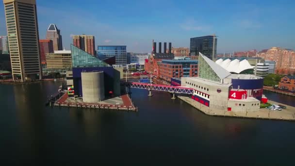 Baltimore Maryland Aerial View Inner Harbor National Aquarium — Stock Video
