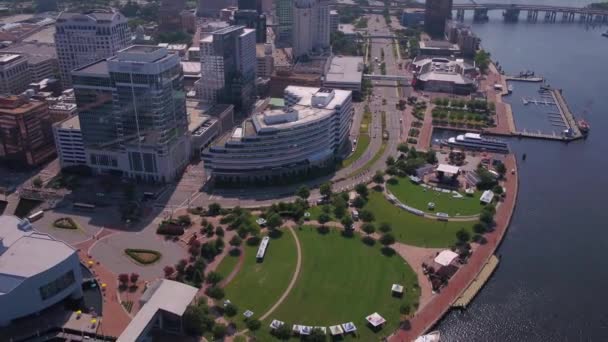 Norfolk Aerial View Town Point Park Downtown Virginia — Stockvideo