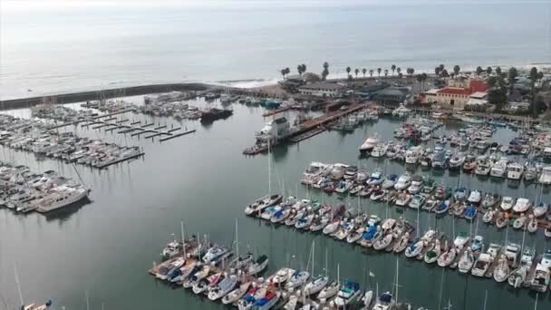 Santa Barbara Harbor Drone View Fantastiskt Landskap Kalifornien Centrum — Stockvideo