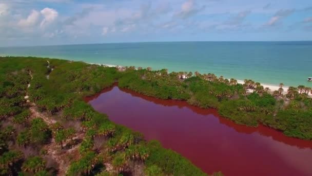 Caladesi Adası Eyalet Parkı Hava Manzarası Dunedin Florida Meksika Körfezi — Stok video