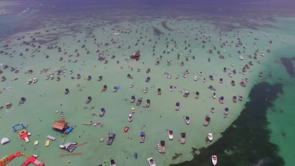 Destin Harbor Krabbön Flygfoto Florida Fantastiskt Landskap — Stockvideo
