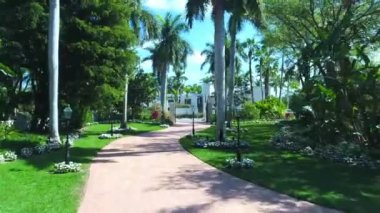 Siesta Key, Drone Flying, Palm Alley, Amazing Landscape, Florida