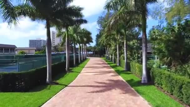 Siesta Key Drone Flying Palm Alley Florida Amazing Landscape — 비디오