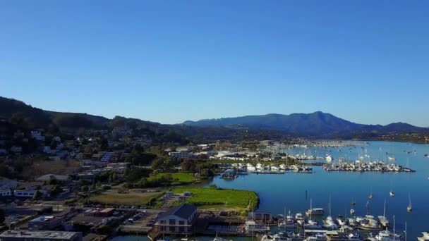 Sausalito Californie Port Bateau Baie San Francisco Vue Aérienne — Video