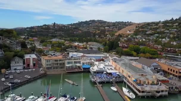 Tiburon California Aerial View San Francisco Körfezi Yacht Limanı — Stok video