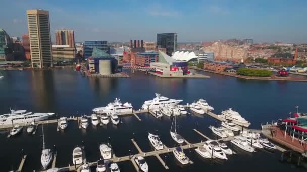 Воздушный Полет Над Балтимором Мэриленд Внутренняя Гавань Центр Города — стоковое видео
