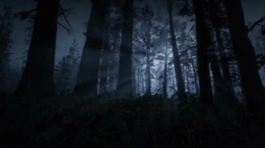 Gizemli Karanlık Orman, Ağaçlar Arasındaki Ay Işığı, Korkunç Sahne, Sisteki Korku
