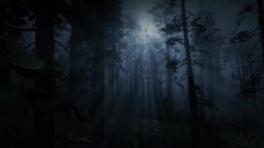 Gizemli Karanlık Orman, Ağaçlar Arasındaki Ay Işığı, Sisteki Korku, Korkunç Sahne
