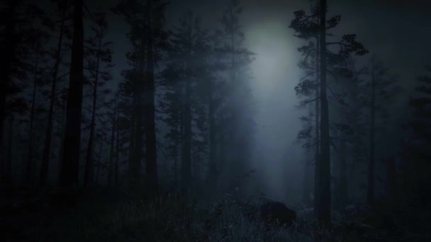Scary Scene Fear Fog Moonlight Trees Mysterious Dark Forest — стоковое видео