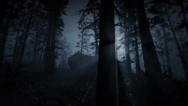 Rejtélyes Sötét Erdő Ijesztő Jelenet Félelem Ködben Holdfény Fák Között — Stock videók