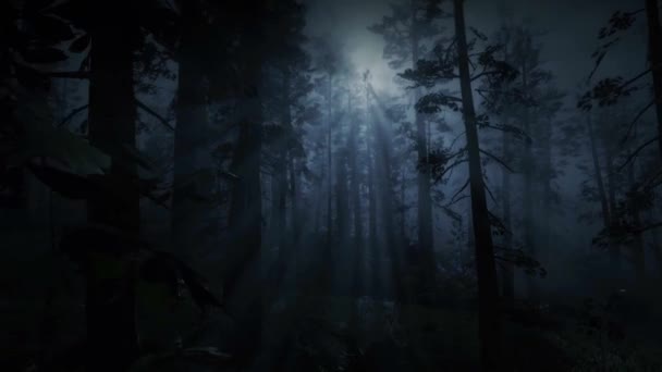 Mysterious Dark Forest Moonlight Trees Fear Fog Scary Scene — стоковое видео