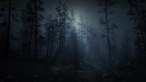 Таинственный Темный Лес Страх Тумане Страшная Сцена Лунный Свет Между — стоковое видео