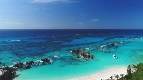 Bermudy East Whale Bay Tropical Paradise Aerial Flying Atlantic Ocean — Stock video