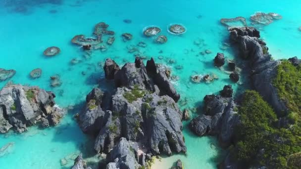 百慕大 洛基大厨 空中飞行 热带天堂 大西洋 美丽的风景 — 图库视频影像