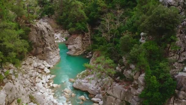 Ríos Rápidos Las Montañas Naturaleza Paisaje Asombroso Vuelo Aéreo — Vídeo de stock