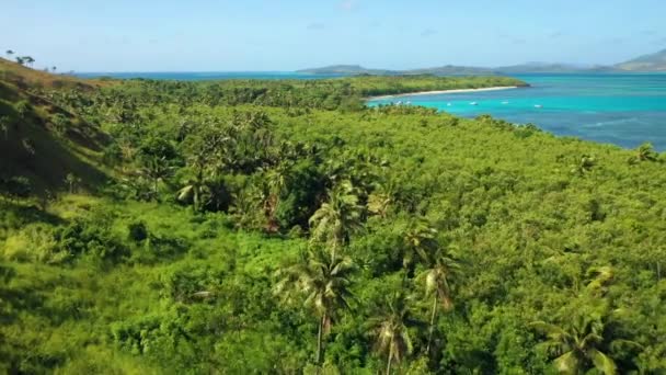 Φίτζι Εναέρια Πετώντας Τροπική Ζούγκλα Καταπληκτικό Τοπίο Ειρηνικός Ωκεανός — Αρχείο Βίντεο