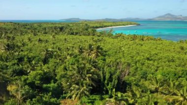 Fiji, Hava Uçuşu, Tropikal Orman, Pasifik Okyanusu, İnanılmaz Manzara