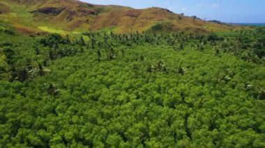 Fiji, Dağlar, Tropikal Orman, Hava Uçuşu, İnanılmaz Manzara