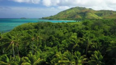 Fiji, Tropikal Orman, İnanılmaz Manzara, Hava Uçuşu, Pasifik Okyanusu