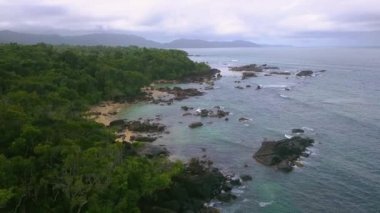 Hint Okyanusu Kıyısında Uçan Hava, Vahşi Doğa, Tropikal Orman, Vahşi Yaşam, Güzel Manzara