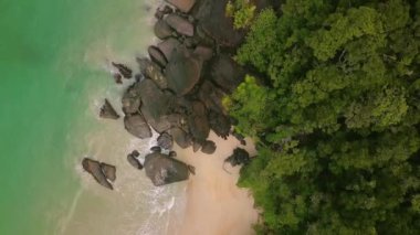 Hint Okyanusu Kıyısında Uçan Hava, Vahşi Doğa, Vahşi Yaşam, Güzel Manzara, Tropikal Orman