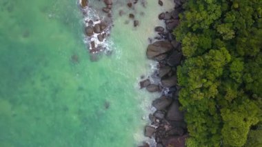 Hint Okyanusu Kıyısında Uçan Hava, Vahşi Yaşam, Tropikal Orman, Vahşi Doğa, Güzel Manzara