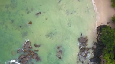 Hint Okyanusu Kıyısında Uçan Hava, Vahşi Yaşam, Tropikal Orman, Güzel Manzara, Vahşi Doğa