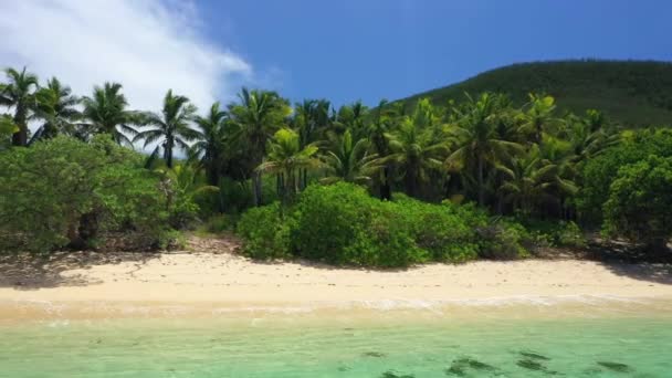 Fiji Luchtvaart Pacific Beach Geweldige Landschap Tropische Jungle — Stockvideo