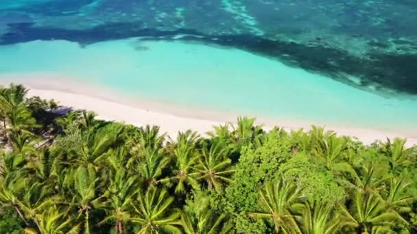 Fiji Pacific Beach Giungla Tropicale Paesaggio Fantastico Volo Aereo — Video Stock