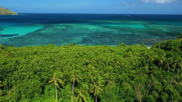 フィジー熱帯ジャングル太平洋驚くべき景観空中飛行 — ストック動画