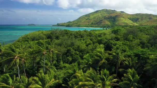 Φίτζι Τροπική Ζούγκλα Καταπληκτικό Τοπίο Εναέρια Πετώντας Ειρηνικός Ωκεανός — Αρχείο Βίντεο