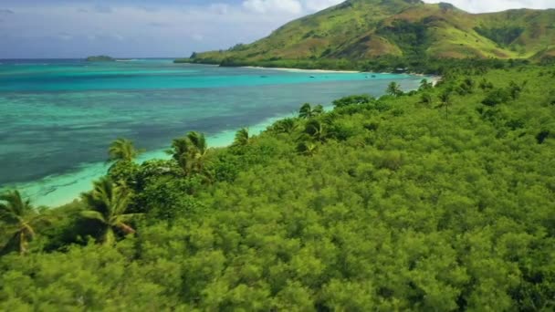 Fiji Tropische Jungle Luchtvliegen Stille Oceaan Verbazingwekkend Landschap — Stockvideo