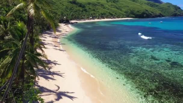 Fiji Tropische Jungle Luchtvliegen Pacific Beach Verbazingwekkend Landschap — Stockvideo