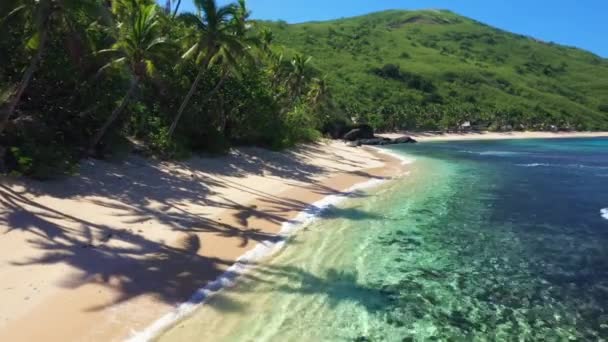 Fiji Paradijs Tropisch Strand Stille Oceaan Vliegen Vanuit Lucht Kristalhelder — Stockvideo