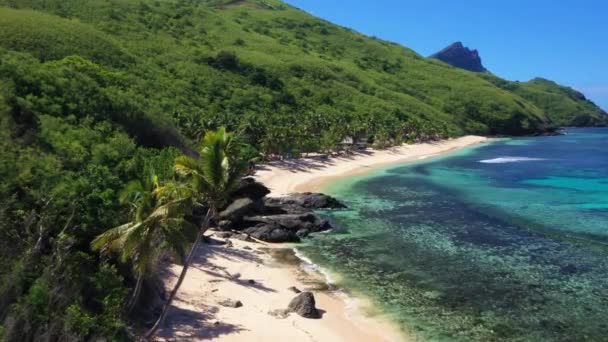 Letecké Létání Fidži Tropická Džungle Pacific Beach Úžasná Krajina — Stock video