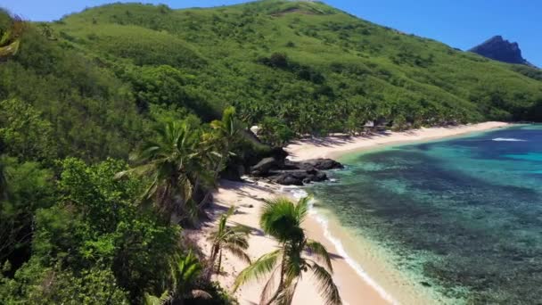 Havadan Uçma Fiji Tropikal Orman Nanılmaz Manzara Pasifik Plajı — Stok video
