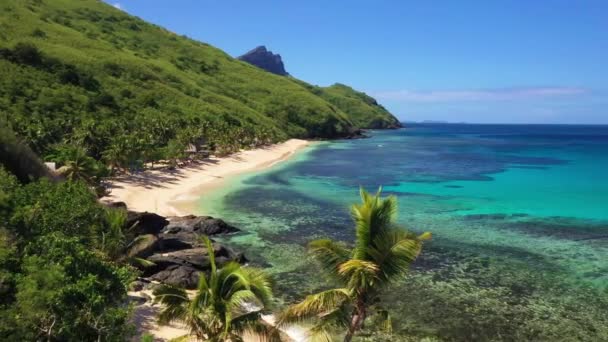 Letecké Létání Fidži Úžasná Krajina Tropická Džungle Pacific Beach — Stock video
