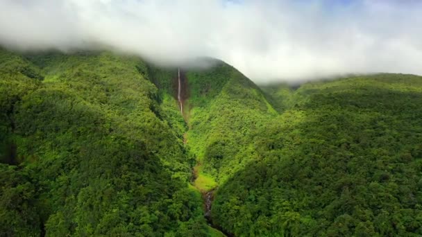 Guadeloupe Eilanden Carbet Falls Vliegen Vanuit Lucht Capesterre Belle Eau — Stockvideo